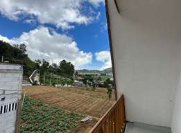 Villa triangle2 5 Cabin Triangle T Dieng